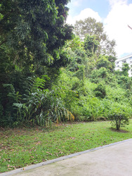 Blk 43 Telok Blangah Rise (Bukit Merah), HDB 3 Rooms #549779581